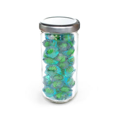 4D Gummies, Seashells, Tall Flint Jar 24ct/7.3oz